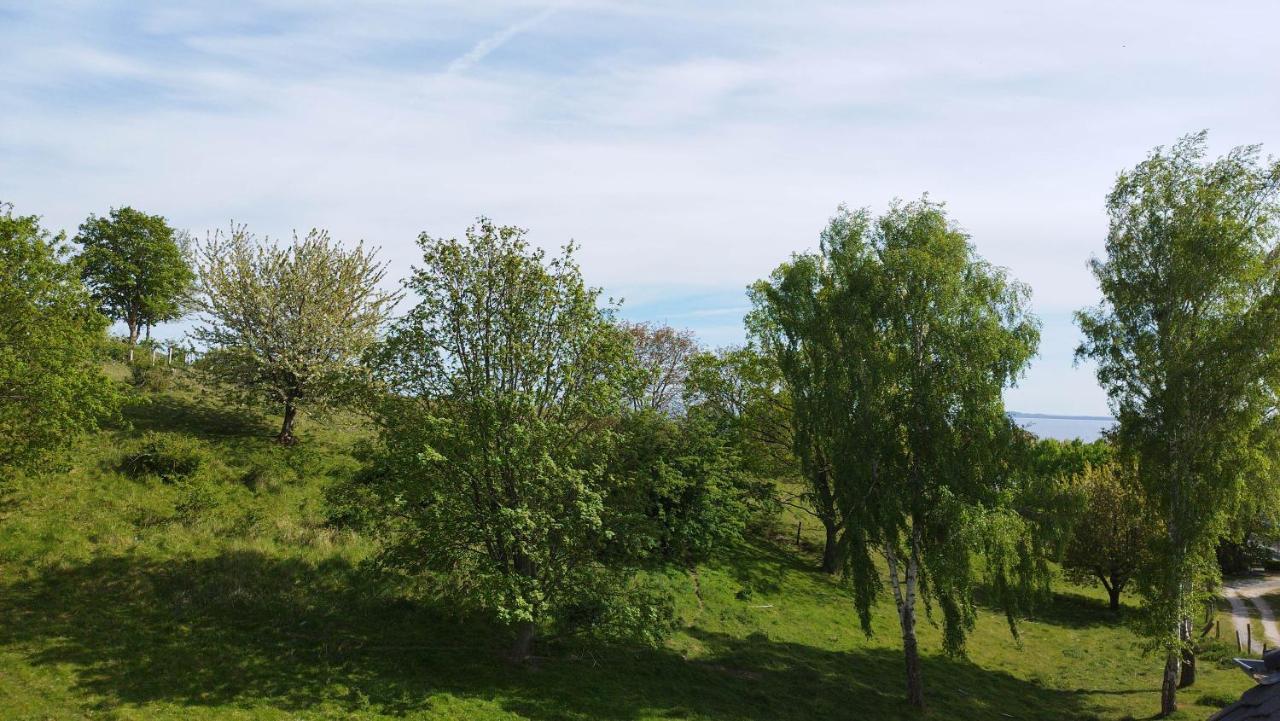 Traumblick Und Komfort - Lichtdurchflutete 85 Qm Wohnung Nahe Suedstrand Goehren Inklusive Schwimmbad Und Sauna Im Ahoi Sellin Bagian luar foto